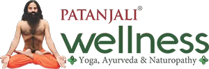 Patanjali Wellness Centre, Chautala